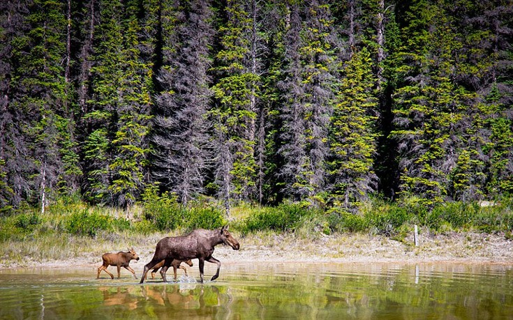 shipwreck8 shipwreck8