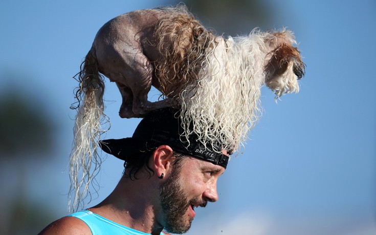 surfdogs12 surfdogs12