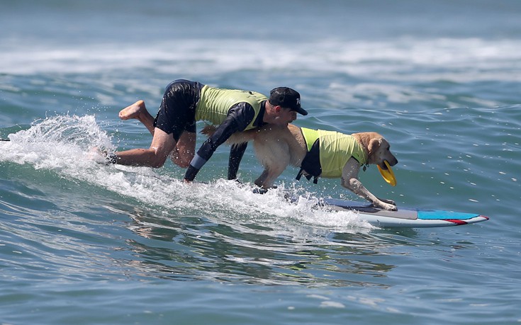 surfdogs8 surfdogs8
