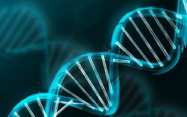 Επιστήμονες αποθήκευσαν στο DNA μια δωροκάρτα και μια ταινία