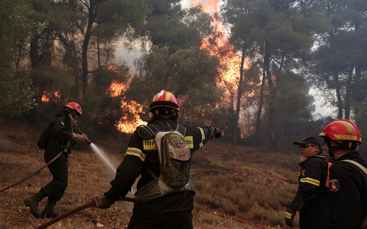 Υπό μερικό έλεγχο η φωτιά στην περιοχή Μιλά Μεσσηνίας
