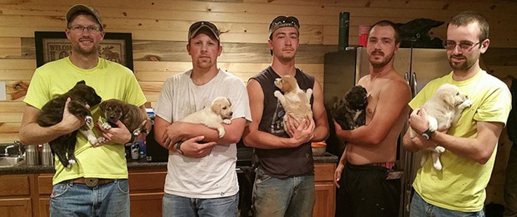 pupp7