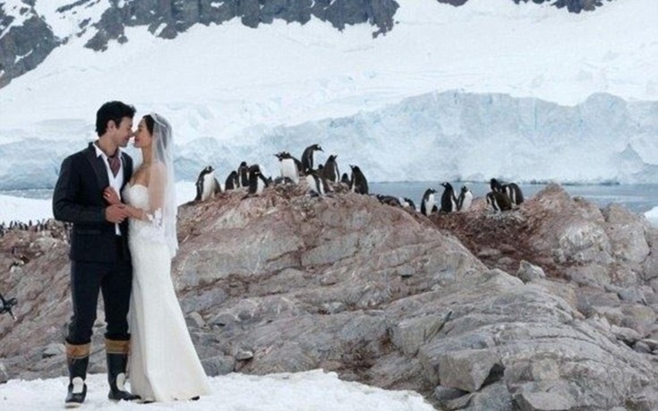 Το ιδιαίτερο άλμπουμ γάμου στην Ανταρκτική