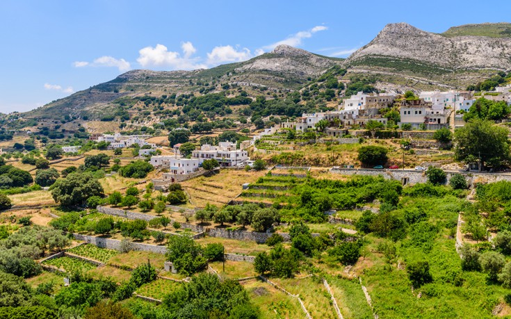 ΑΠΕΙΡΑΝΘΟΣ ΝΑΞΟΣ