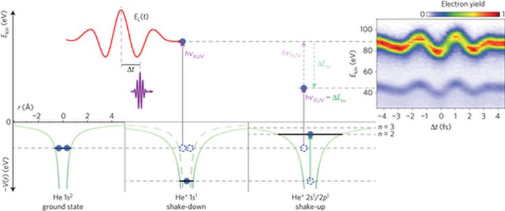 nphys3941-f1