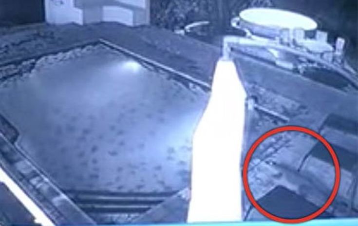 Κροκόδειλος επιτέθηκε σε ζευγάρι μέσα σε πισίνα ξενοδοχείου