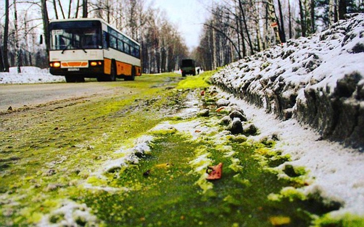 Πρασίνισε το χιόνι στη Ρωσία