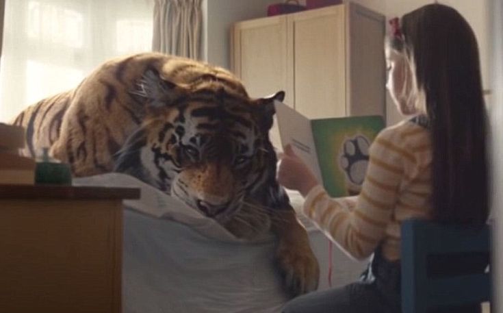Εσείς τι θα κάνατε αν ξυπνούσατε με μια τίγρη στο σπίτι σας;