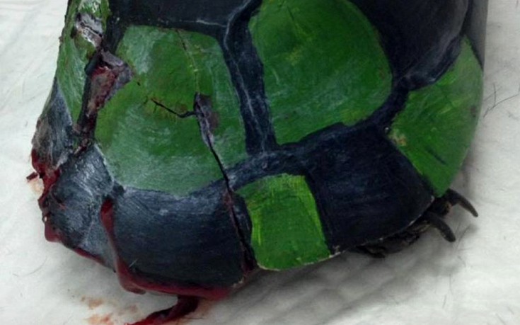 Έκαναν τη χελώνα μπάλα ποδοσφαίρου στη Μυτιλήνη