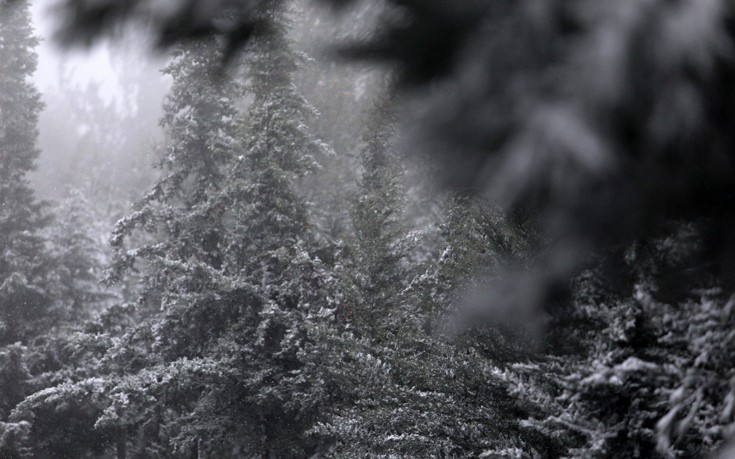 Πυκνές χιονοπτώσεις και χιονοθύελλες δοκιμάζουν τις αντοχές στον Έβρο