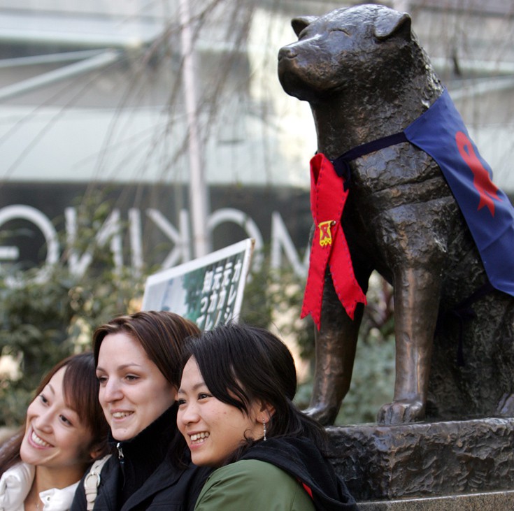 hachiko5