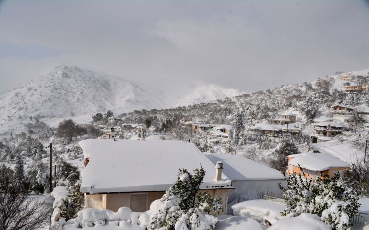 Θαμμένα κάτω από δυο μέτρα χιόνι πολλά χωριά στην Εύβοια