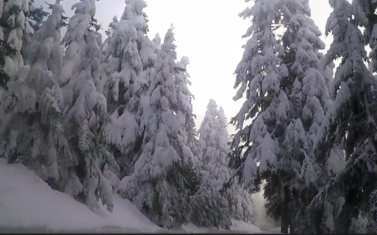 Μαγικές εικόνες από το χιονισμένο Κρίκελλο της Ευρυτανίας
