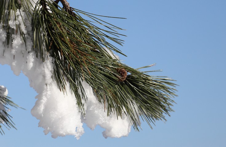 Στην κατάψυξη με χαμηλές θερμοκρασίες ολόκληρη η χώρα