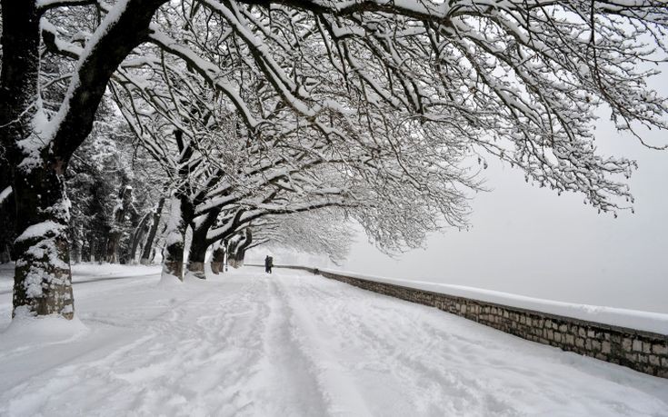 «Εισβολή» χιονιά από τη Ρωσία προβλέπει για την Πέμπτη ο Καλλιάνος