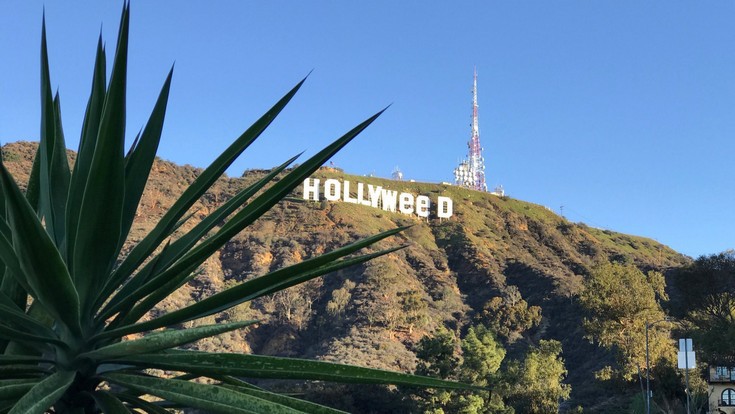 Η εμβληματική πινακίδα του «Hollywood» έγινε «Hollyweed» προς τιμήν της μαριχουάνας