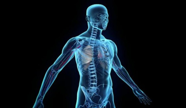 Δέκα παράξενες αλήθειες για το ανθρώπινο σώμα που ίσως δεν γνωρίζετε