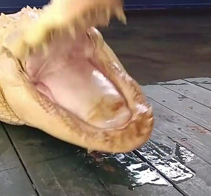 hdhfg3