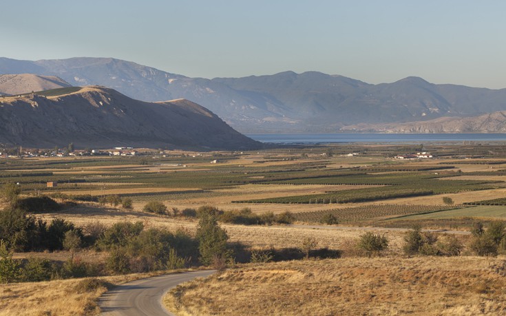 ΒΕΓΟΡΙΤΙΔΑ