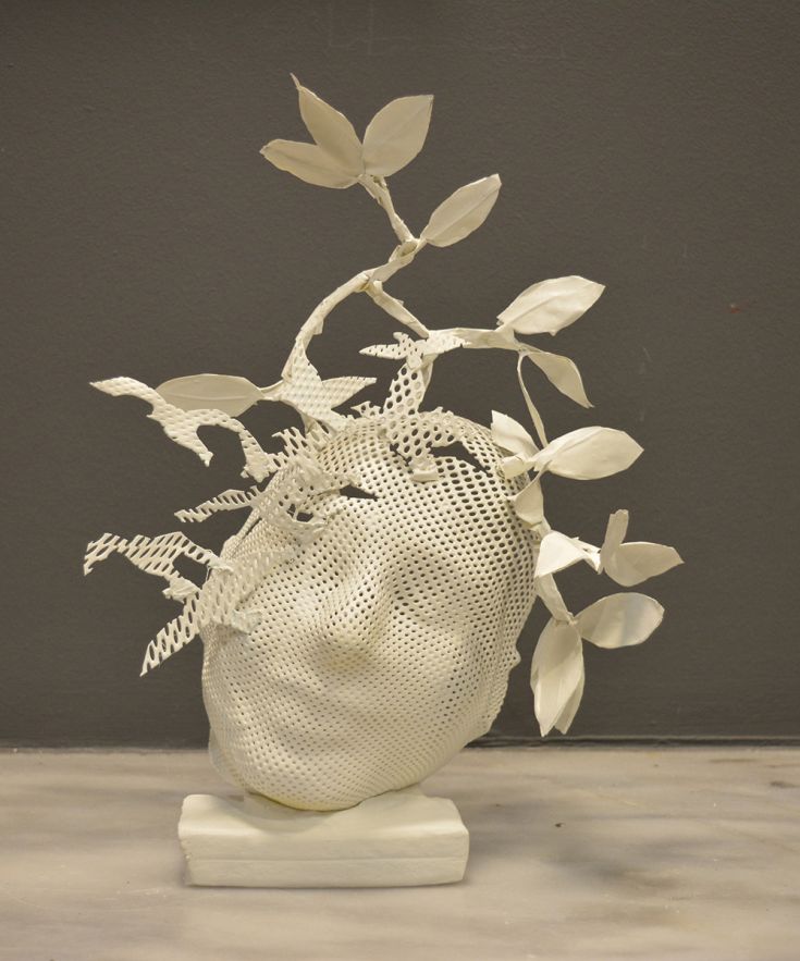 Ζυγούρη1 Ζυγούρη1