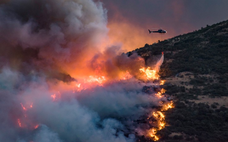 Πώς ένα γεράκι και ένα φίδι ξεκίνησαν μια μεγάλη φωτιά