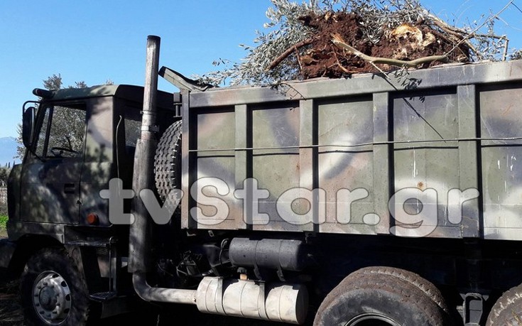 psrrstil17 psrrstil17