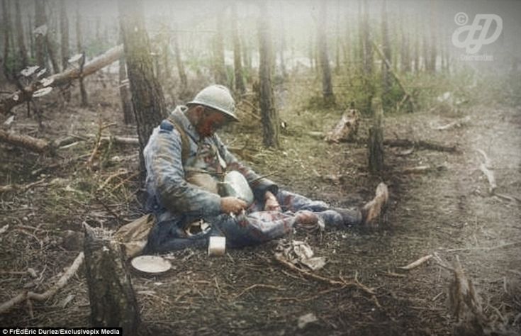 3E73DAA500000578-0-image-m-63_1489999524440 3E73DAA500000578-0-image-m-63_1489999524440