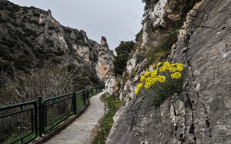 ΒΕΛΒΕΝΤΟ ΚΟΖΑΝΗ