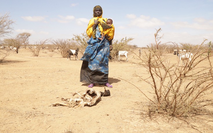 Η ξηρασία καταστρέφει τις σοδειές και σκοτώνει στην ανατολική Αφρική