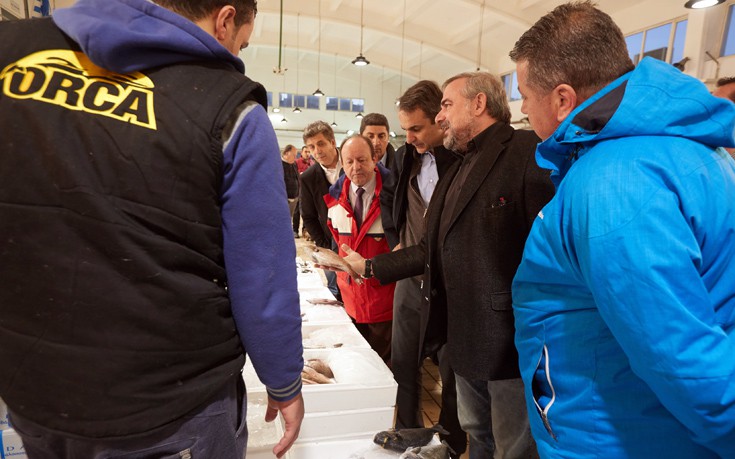 mhtsokaaj8 mhtsokaaj8