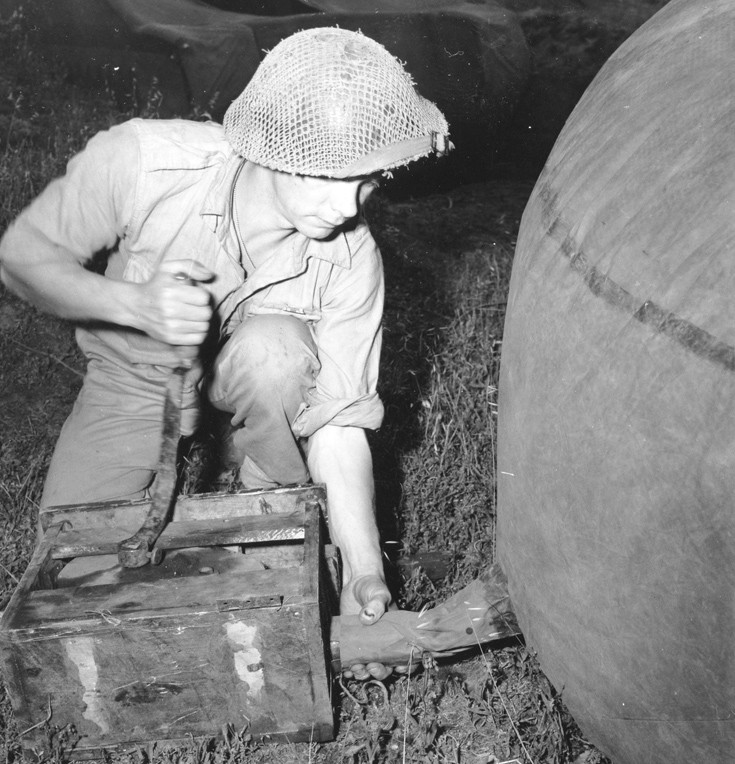 wwwiiisggujnsmamccik10