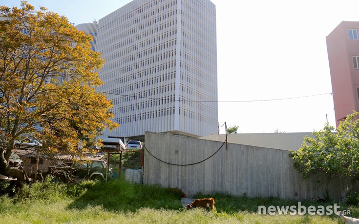 katsikia14 katsikia14