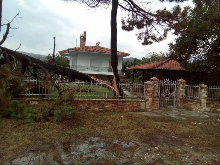 Κόπηκαν δέντρα από την κακοκαιρία στο νομό Λάρισας
