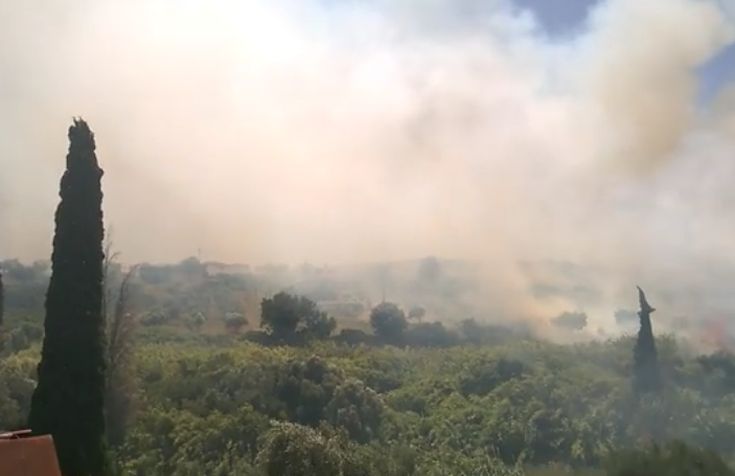 Υπό μερικό έλεγχο η φωτιά στην Κορώνη, που έχει κάψει 30 στρέμματα