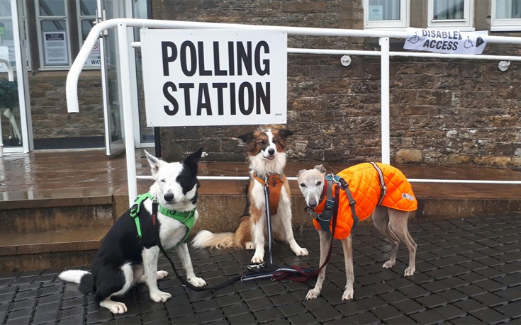 Οι απρόσμενοι σταρ των βρετανικών εκλογών είναι τα… σκυλιά
