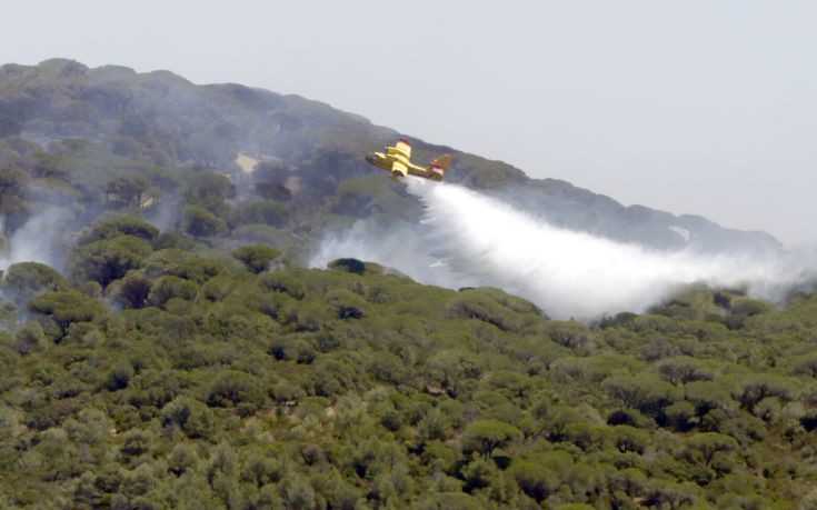 Φωτιά σε πευκόφυτη περιοχή στα Χανιά