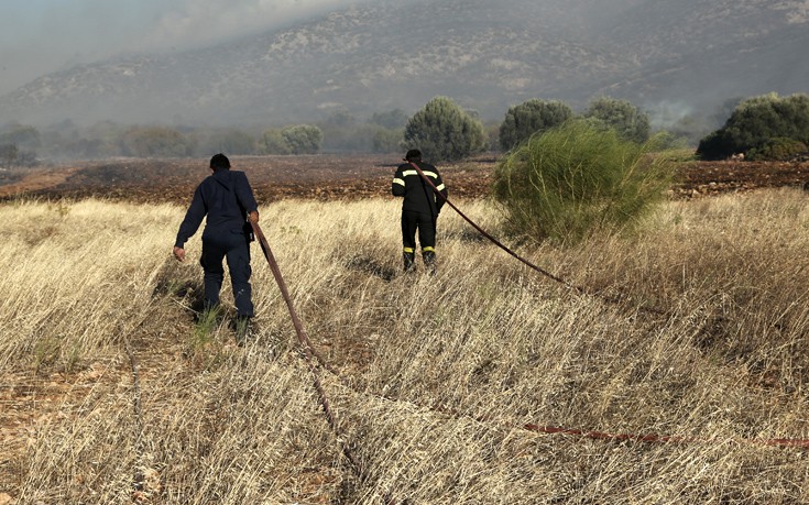 Σε ύφεση η πυρκαγιά στο Μαρκόπουλο Αττικής