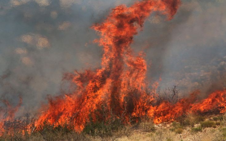 Φωτιά σε δύσβατη ορεινή περιοχή στη Δράμα
