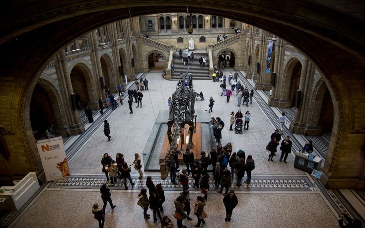 Ένας 10χρονος εντόπισε λάθος στο Μουσείο Φυσικής Ιστορίας του Λονδίνου