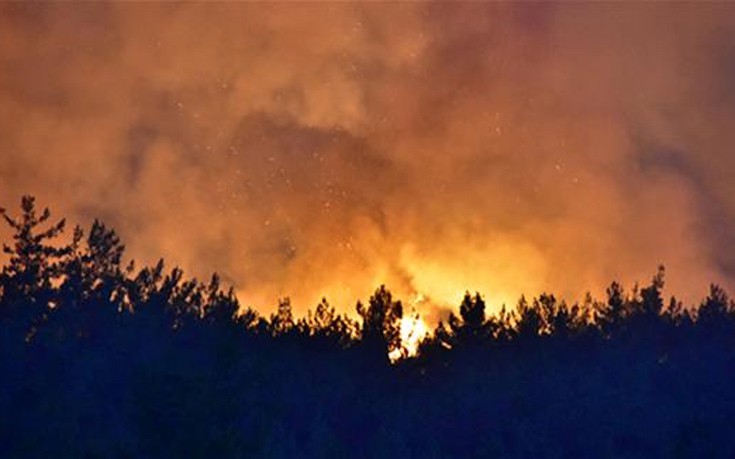 Καίγονται τα δάση γύρω από την Σμύρνη