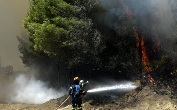 Σε εξέλιξη η πυρκαγιά στην Ηλεία χωρίς να απειλεί κατοικημένες περιοχές