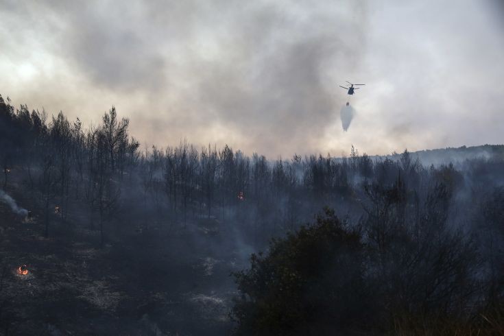 Ξεκίνησε η διαδικασία της «επόμενης μέρας» για τις μεγάλες πυρκαγιές