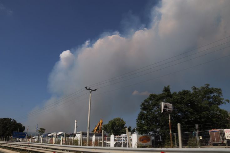 6176643488_IMG_9466 6176643488_IMG_9466