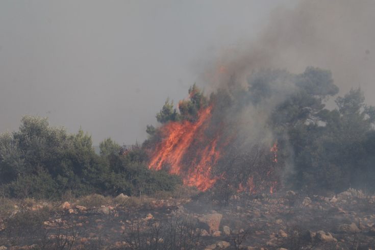 6176643488_IMG_9523 6176643488_IMG_9523