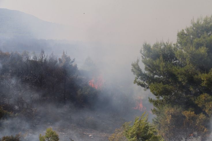 6176643488_IMG_9534 6176643488_IMG_9534