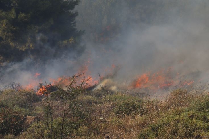 6176643488_IMG_9539 6176643488_IMG_9539