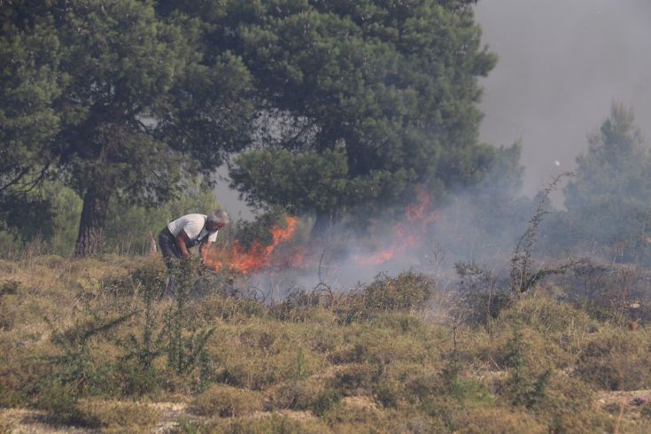 6176643488_IMG_9544 6176643488_IMG_9544