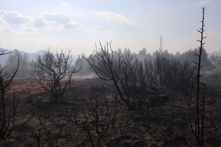 6176643488_IMG_9546 6176643488_IMG_9546