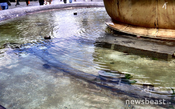 dskjtbrjk11 dskjtbrjk11