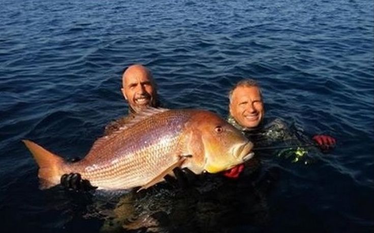 Ψαροντουφεκάς από τη Χίο έπιασε συναγρίδα 11 κιλών